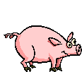Doin' the Piggy Polka!